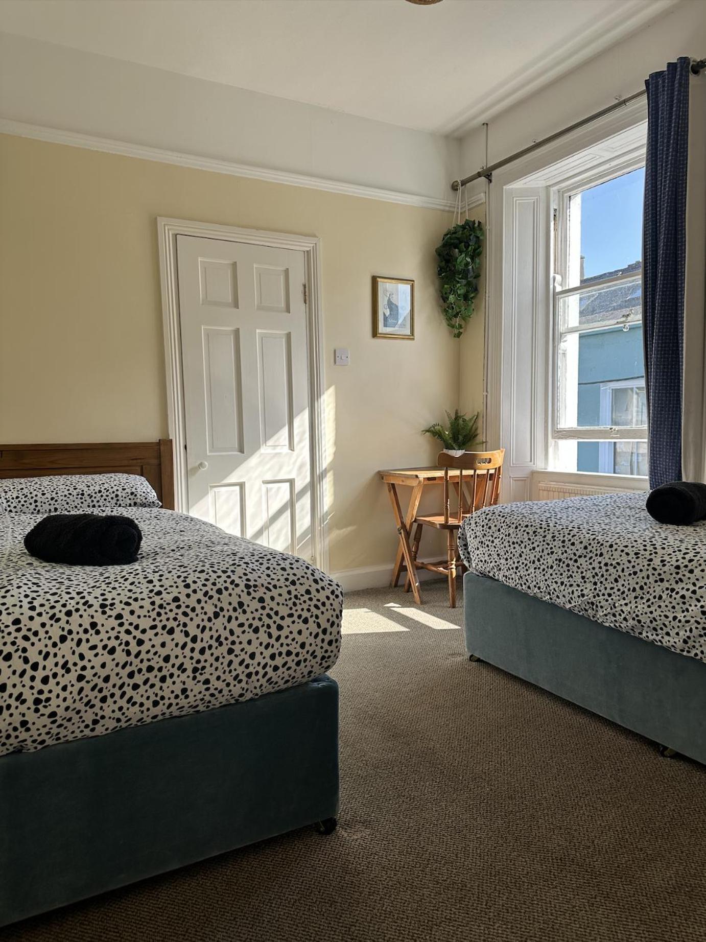 The Grapevine Hostel Dingle Eksteriør bilde